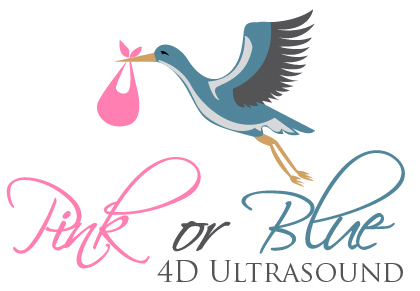 Pink or Blue 4D Ultrasound Studio Logo